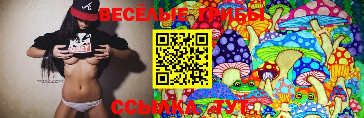 Галлюциногенные грибы Magic Shrooms Тобольск
