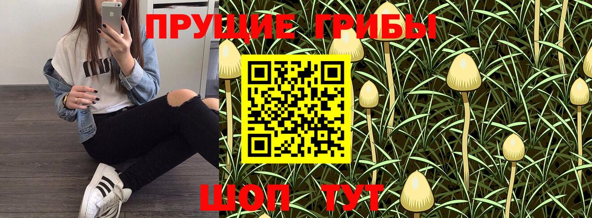 Тобольск  Галлюциногенные грибы мицелий  Вход с VPN 